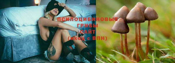 мдпв Дубовка