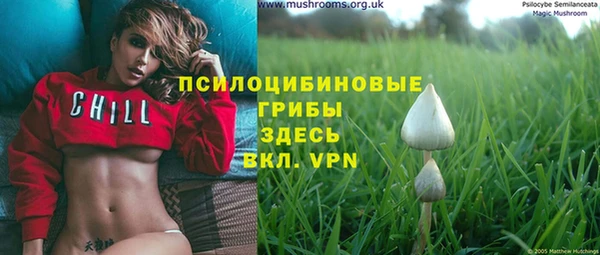 марки lsd Нязепетровск