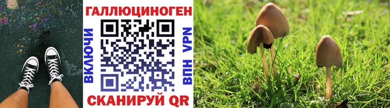 Галлюциногенные грибы мицелий  Заполярный 